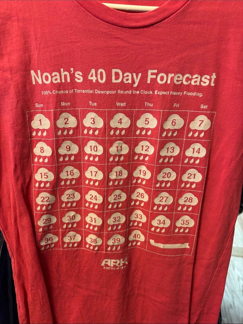 Noah's 40 Day Forecast Graphic Long-Sleeve Shirt - Red